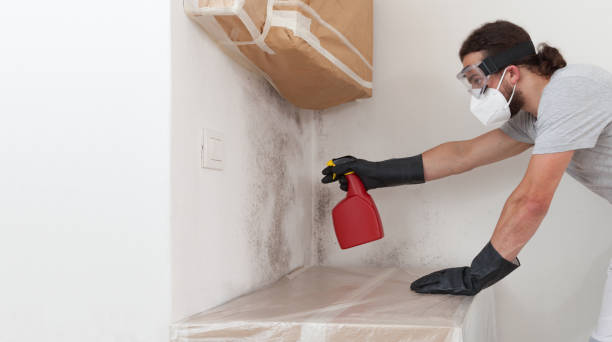 Professional Bathroom Mold Removal technician working in West Hempstead, NY